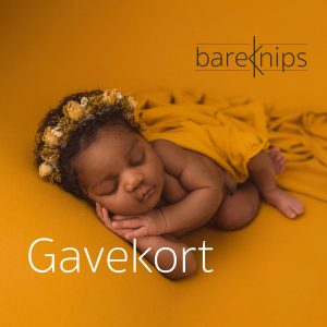 Gavekort bareKnips